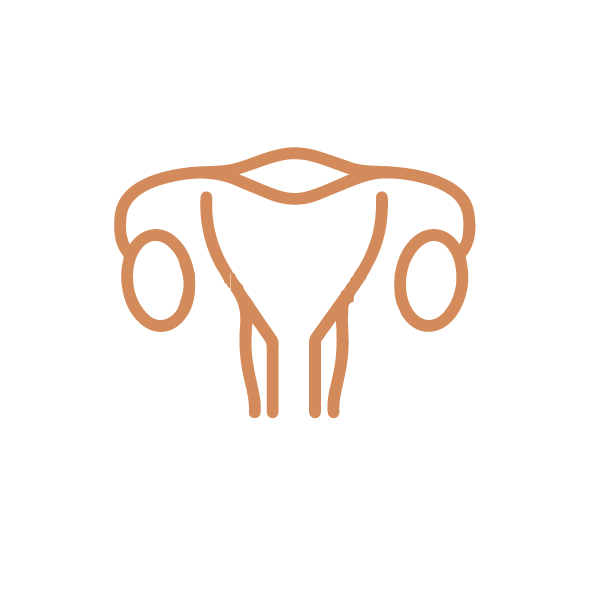 icon of vagina for pcos