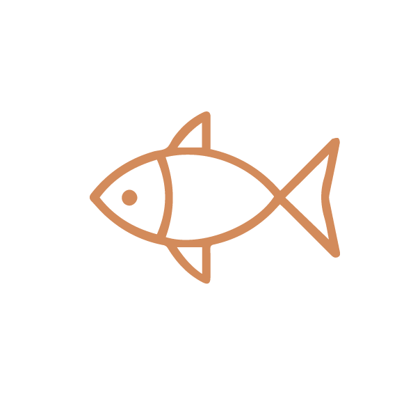 fish icon